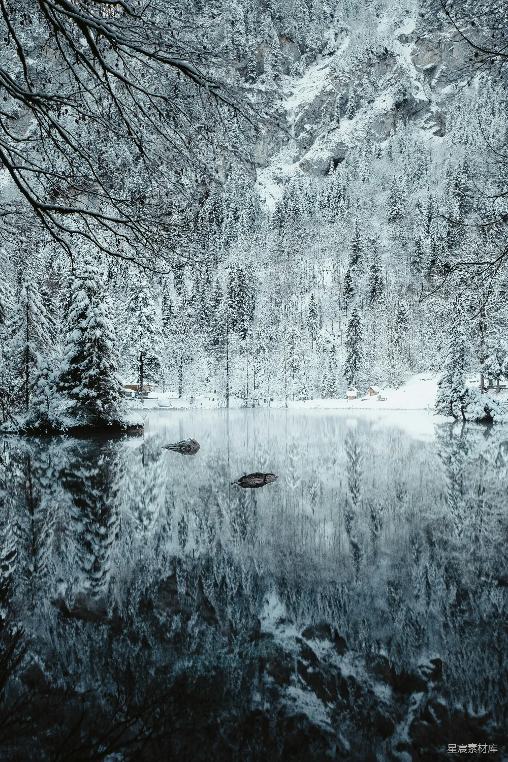 高清摄影 白雪覆盖的河流和树木