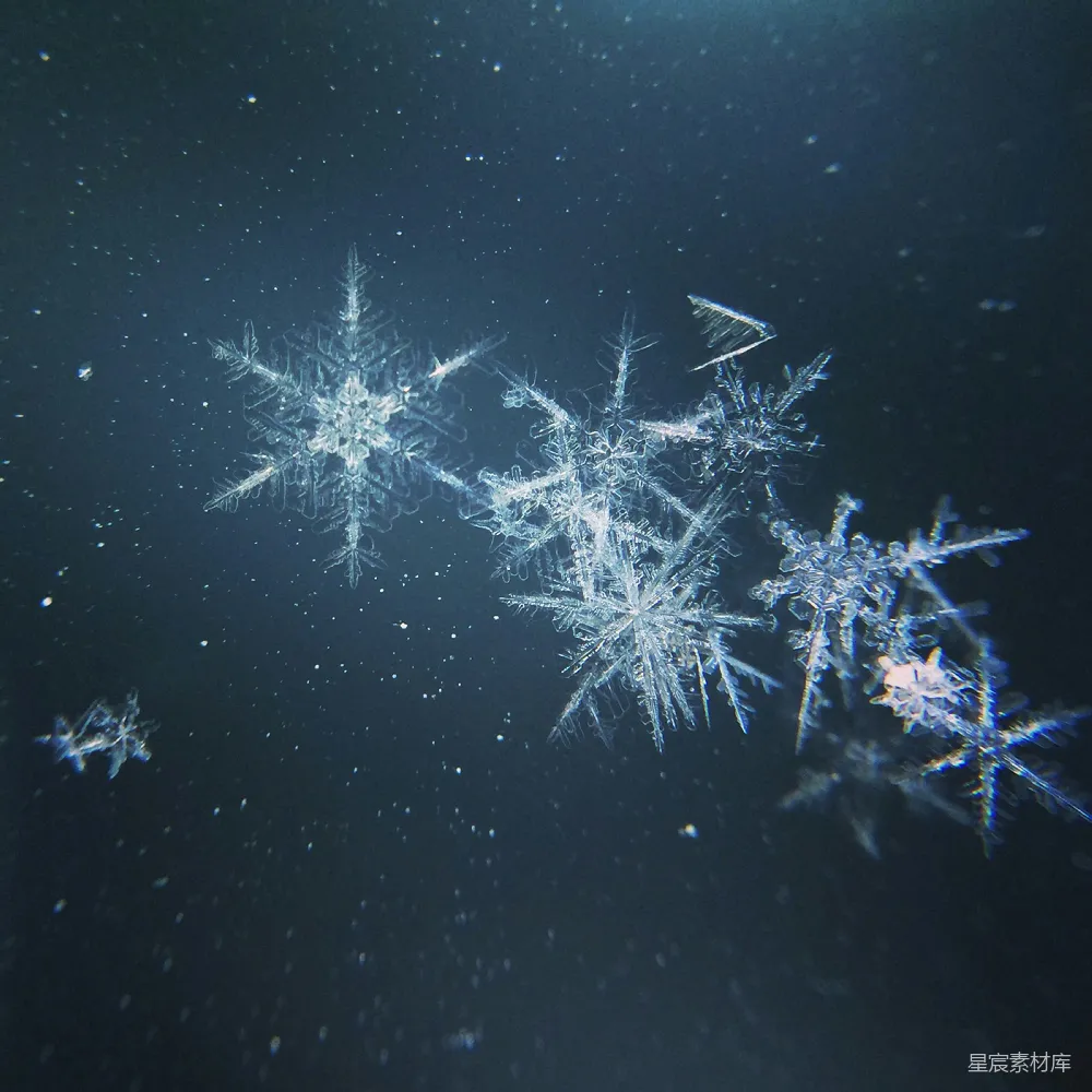 高清摄影 空中飘浮的一群雪花