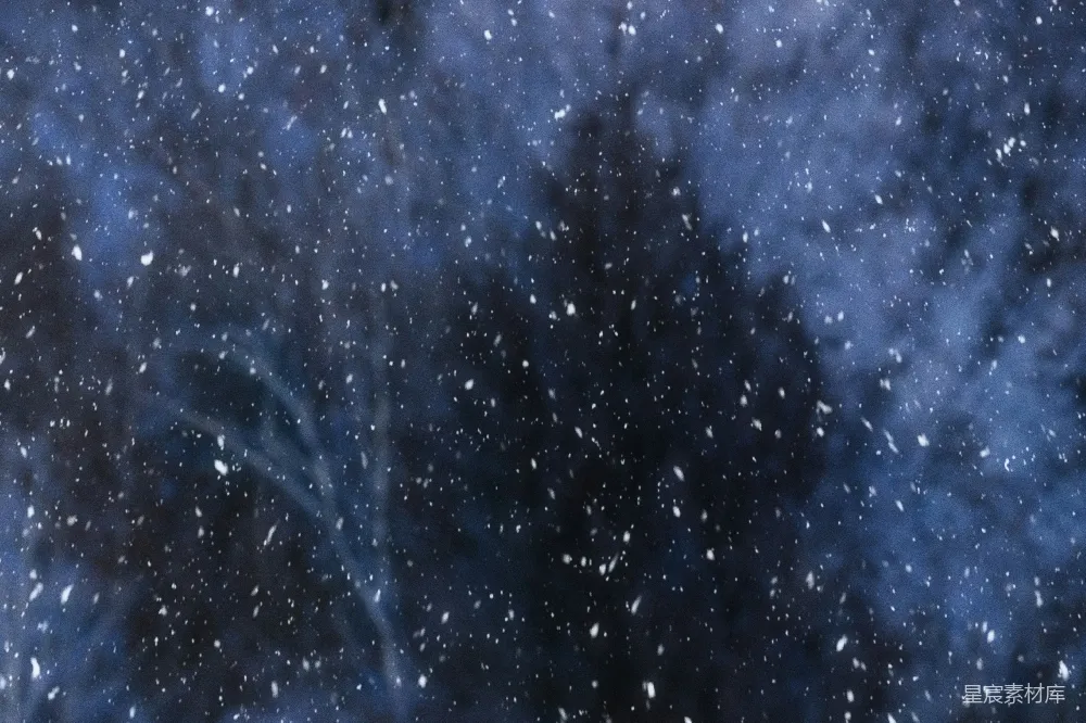 高清摄影 天空中满是雪花，树木覆盖着白雪。