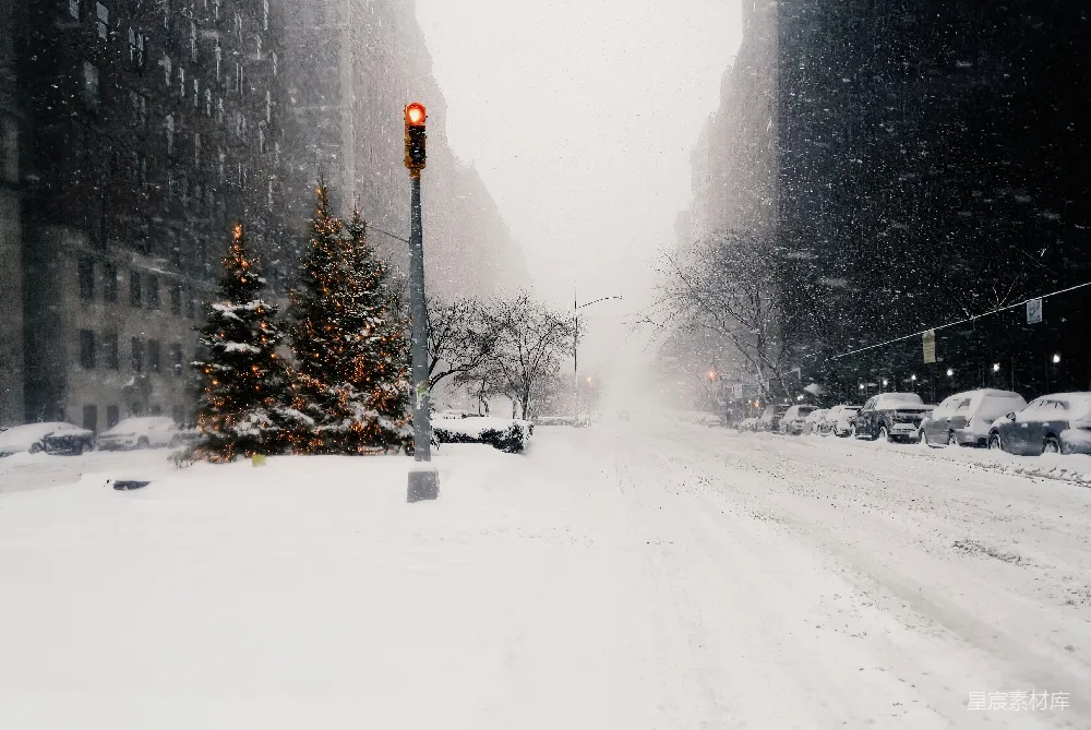 高清摄影 雪中的街道上有交通灯和一棵圣诞树