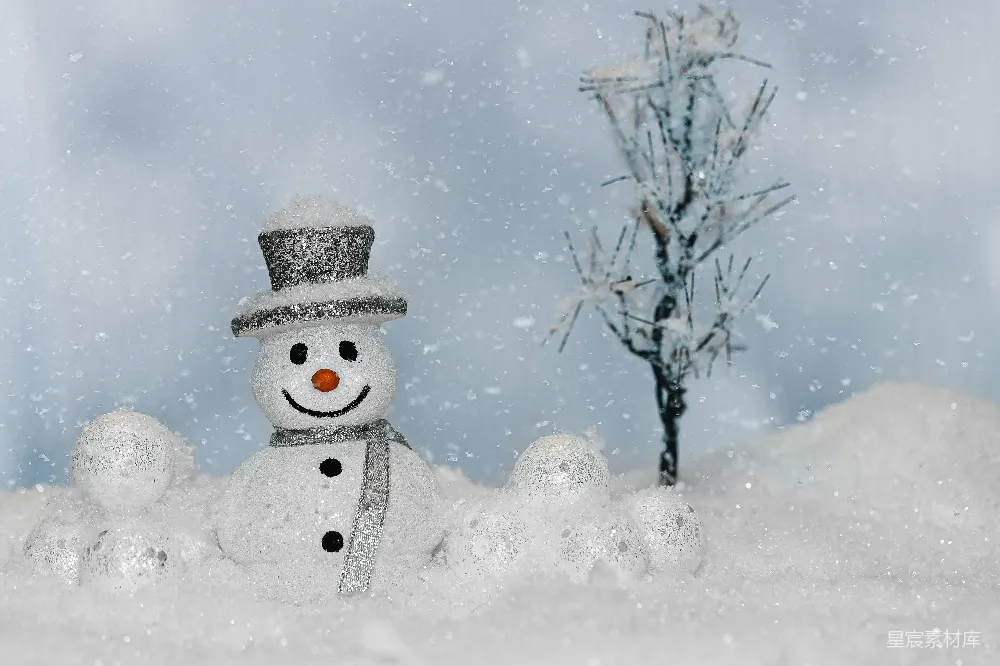 高清摄影 头戴雪帽的雪人
