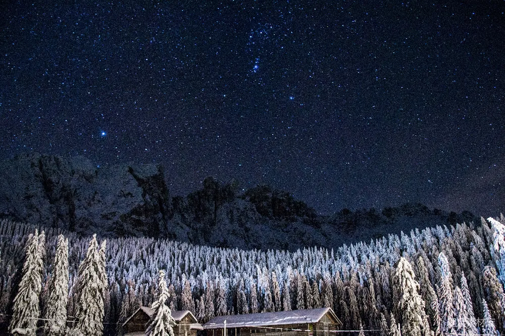 高清摄影 星空中覆盖着白雪的松树