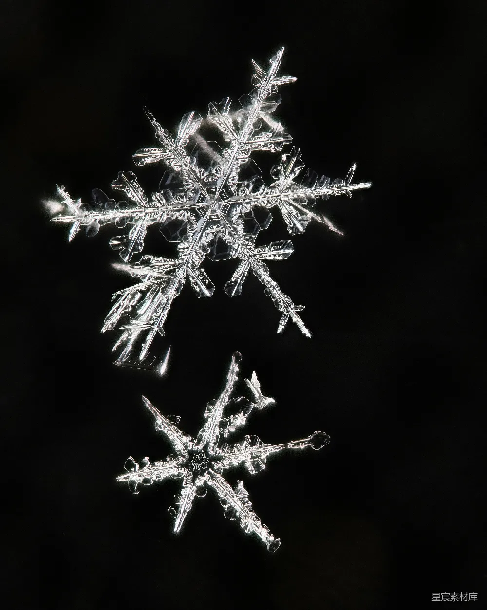 高清摄影 黑色背景上的白色雪花