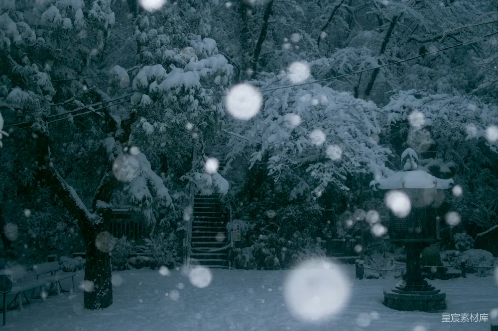 高清摄影 楼梯旁的树木覆上白雪