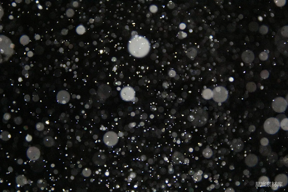 高清摄影 黑白照片中的雪花