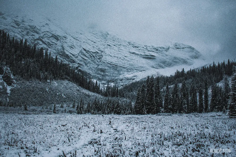 高清摄影 覆盖着白雪的山峦，前景中有树木。