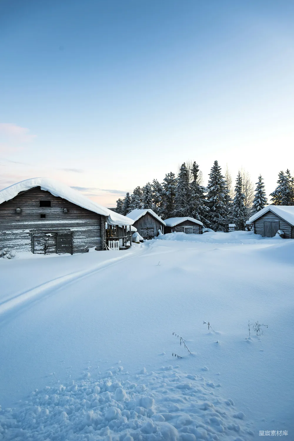 高清摄影 雪覆盖着近树的房屋和土地在白天