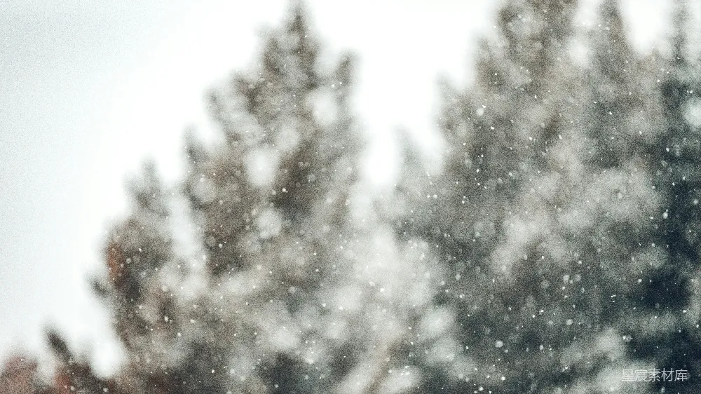 高清摄影 一幅模糊的覆有白雪的树的照片