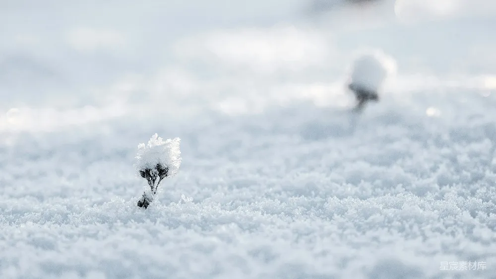高清摄影  选择性拍摄雪