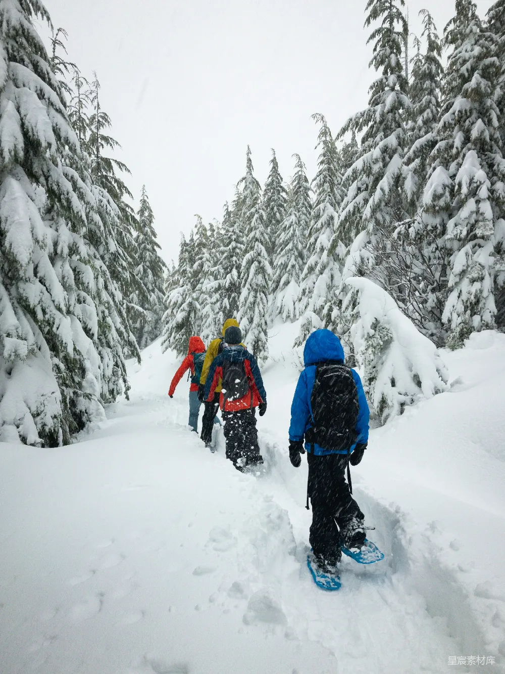 高清摄影 四人在雪地上行走