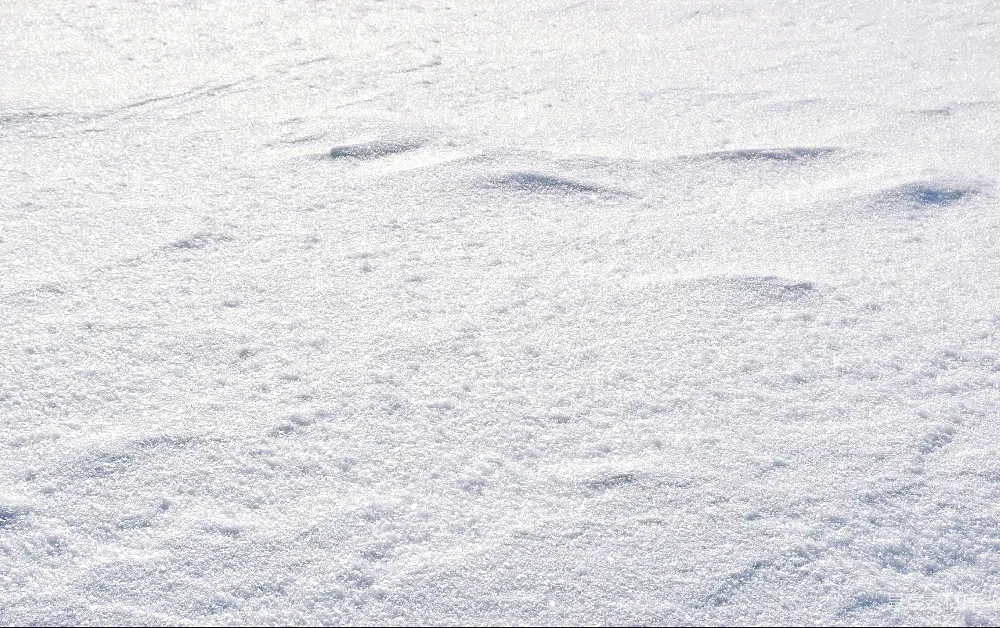 高清摄影 覆盖着白雪的地面