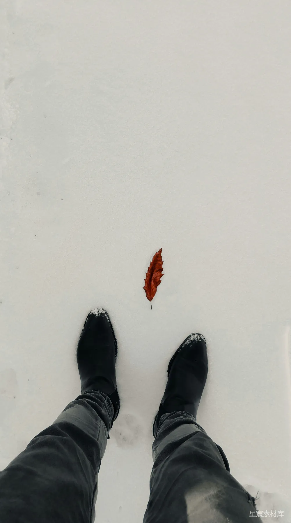 高清摄影  雪地里站着一个人，旁边是一片落叶。