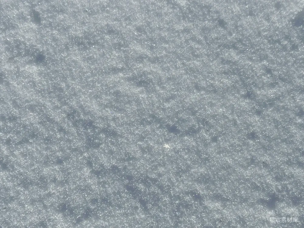 高清摄影 一只鸟站在雪地里，在一个阳光明媚的天儿里。