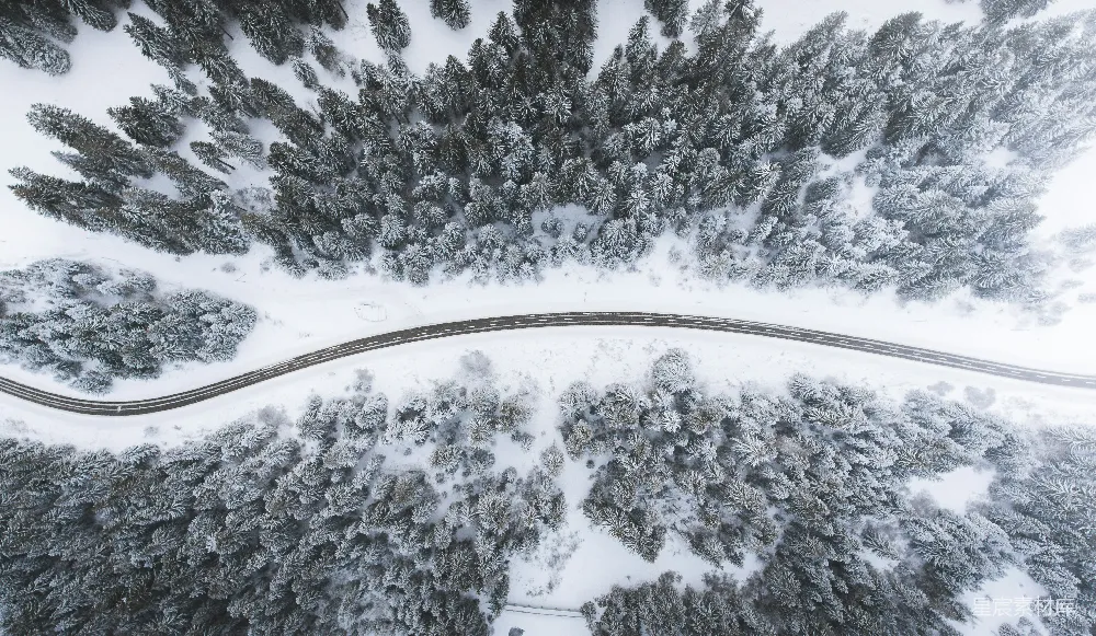高清摄影 树丛环绕中的道路俯视图