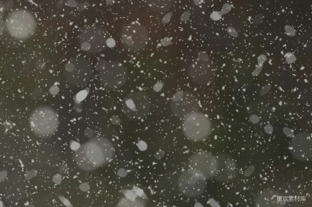 高清摄影 一张黑白照片里雪花飘落