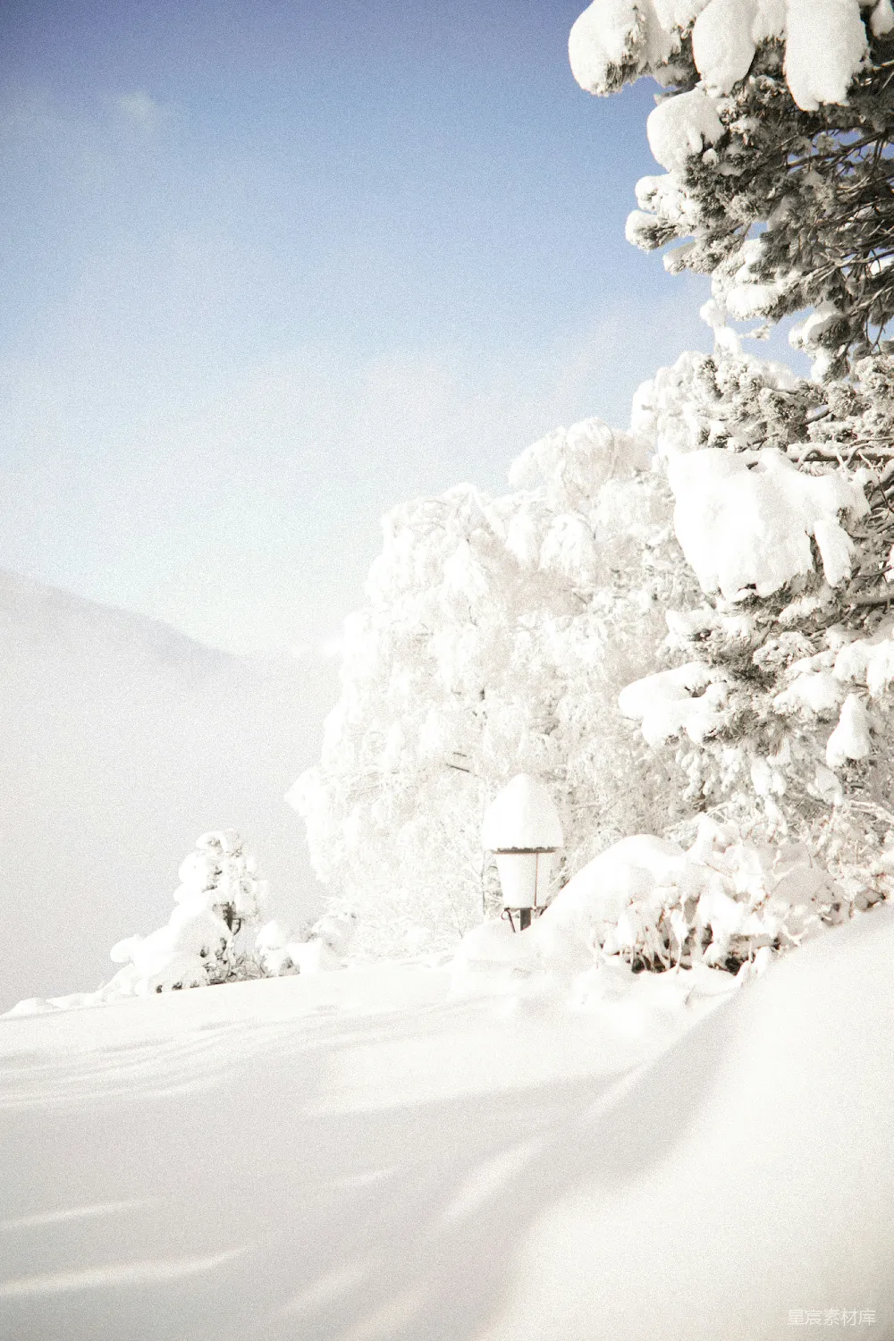 高清摄影 白天树木和山被雪覆盖