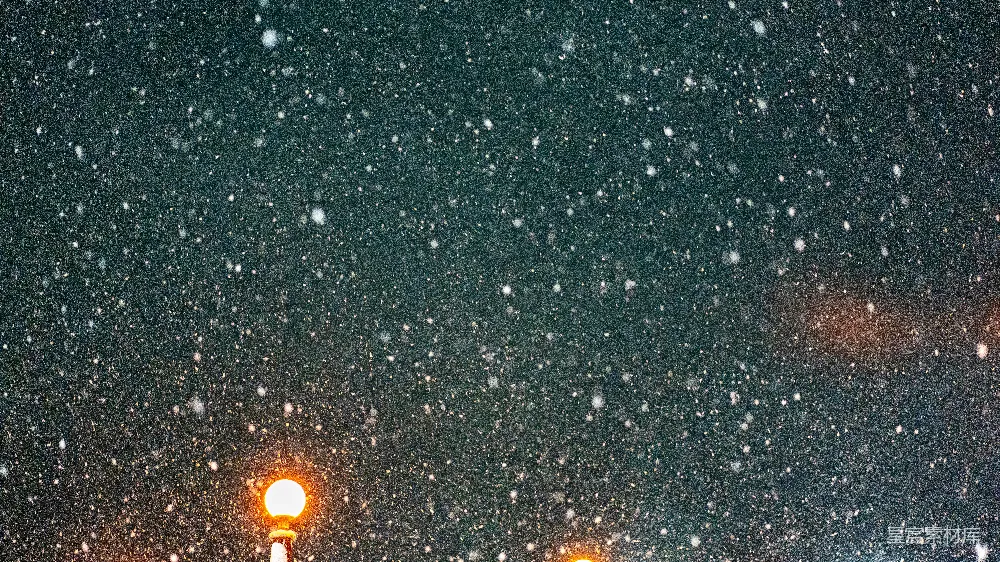 高清摄影 路灯矗立在一场雪暴的中心