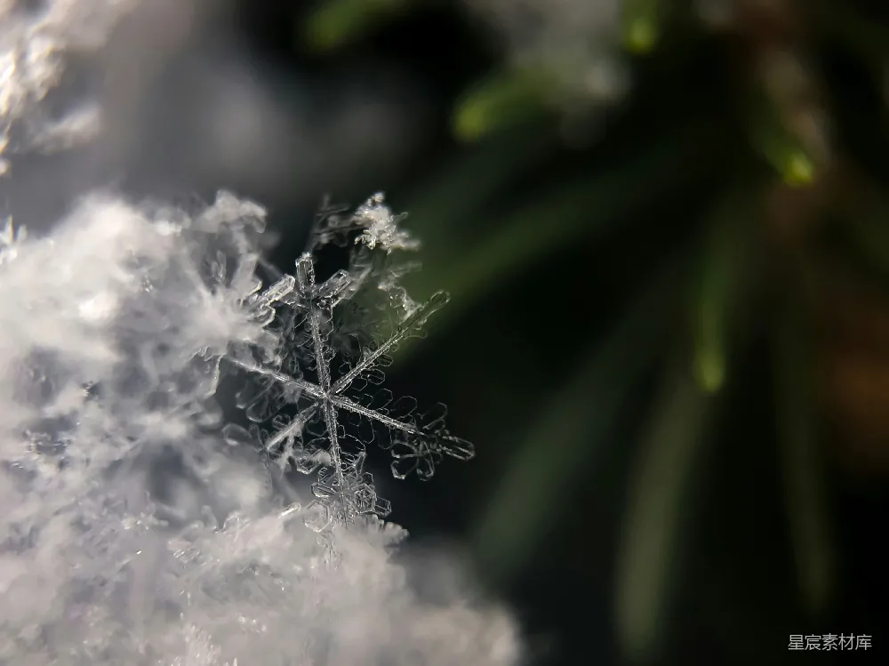 高清摄影 雪flake摄影的焦点
