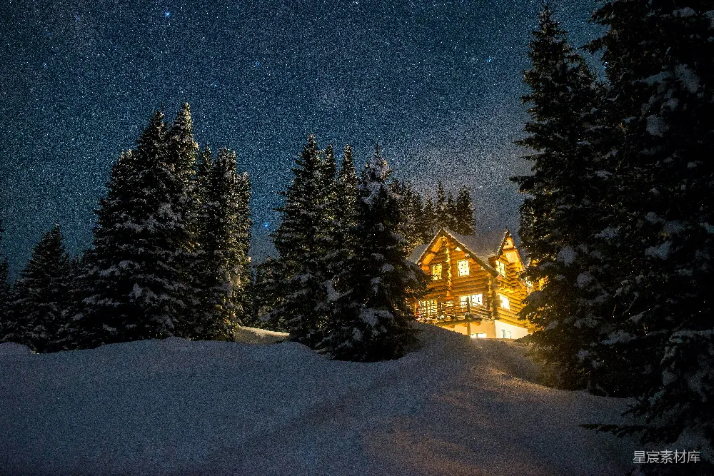 高清摄影 中有一座森林中的雪覆盖的房屋。