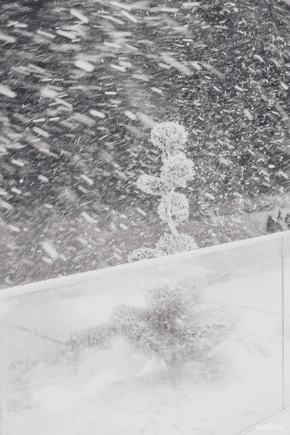 高清摄影 白雪