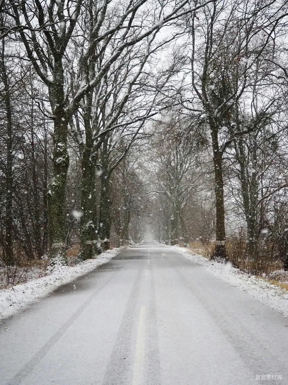 高清摄影 森林中一条被白雪覆盖的道路