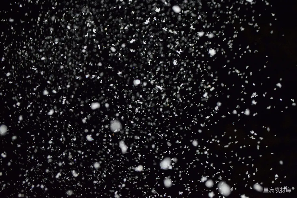 高清摄影 黑白照片中的雪花纷飞