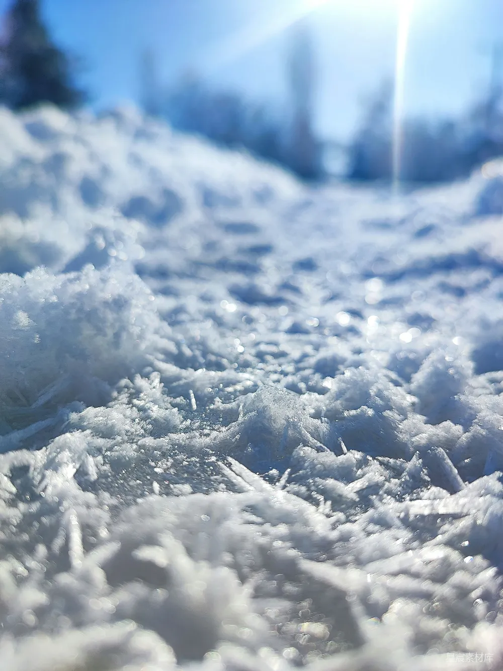 高清摄影 背景中有树木的雪覆盖地面特写