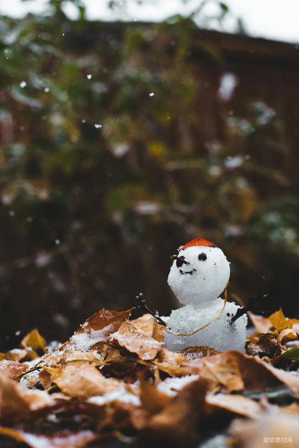 高清摄影 棕色干叶子上的雪人