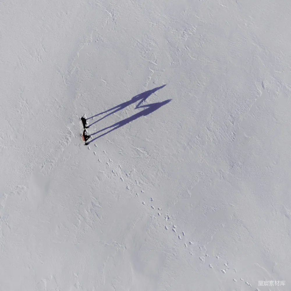 高清摄影 白天人在雪覆盖的田野中行走