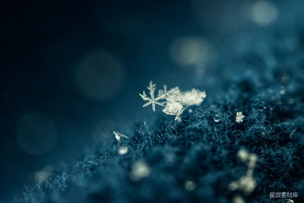 高清摄影 蓝底白雪花