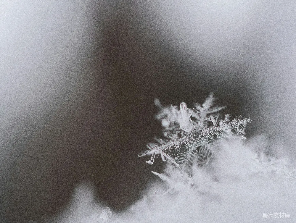 高清摄影 雪花的特写摄影