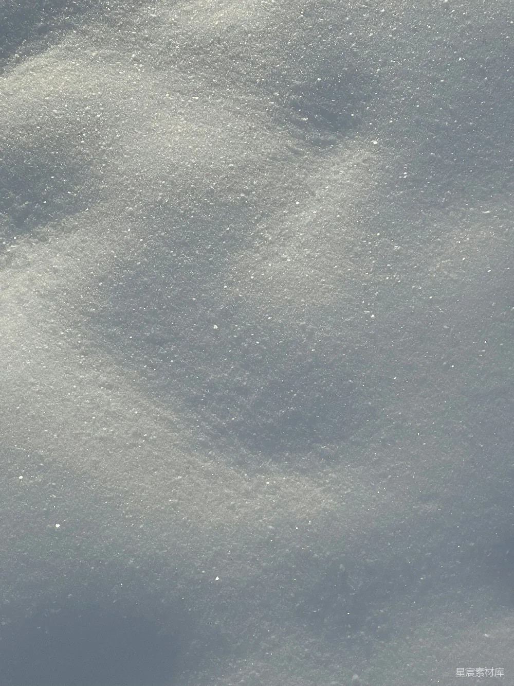 高清摄影 覆盖着白雪的田野上有一只鸟在飞翔。