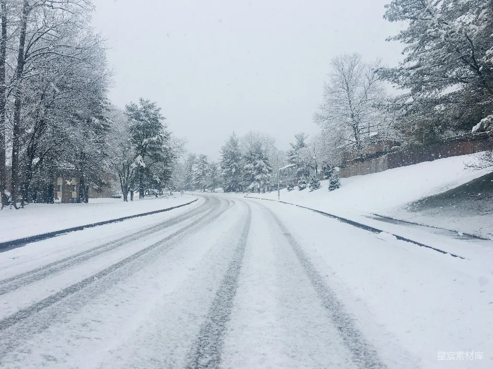 高清摄影 白天树木之间的雪覆盖的道路