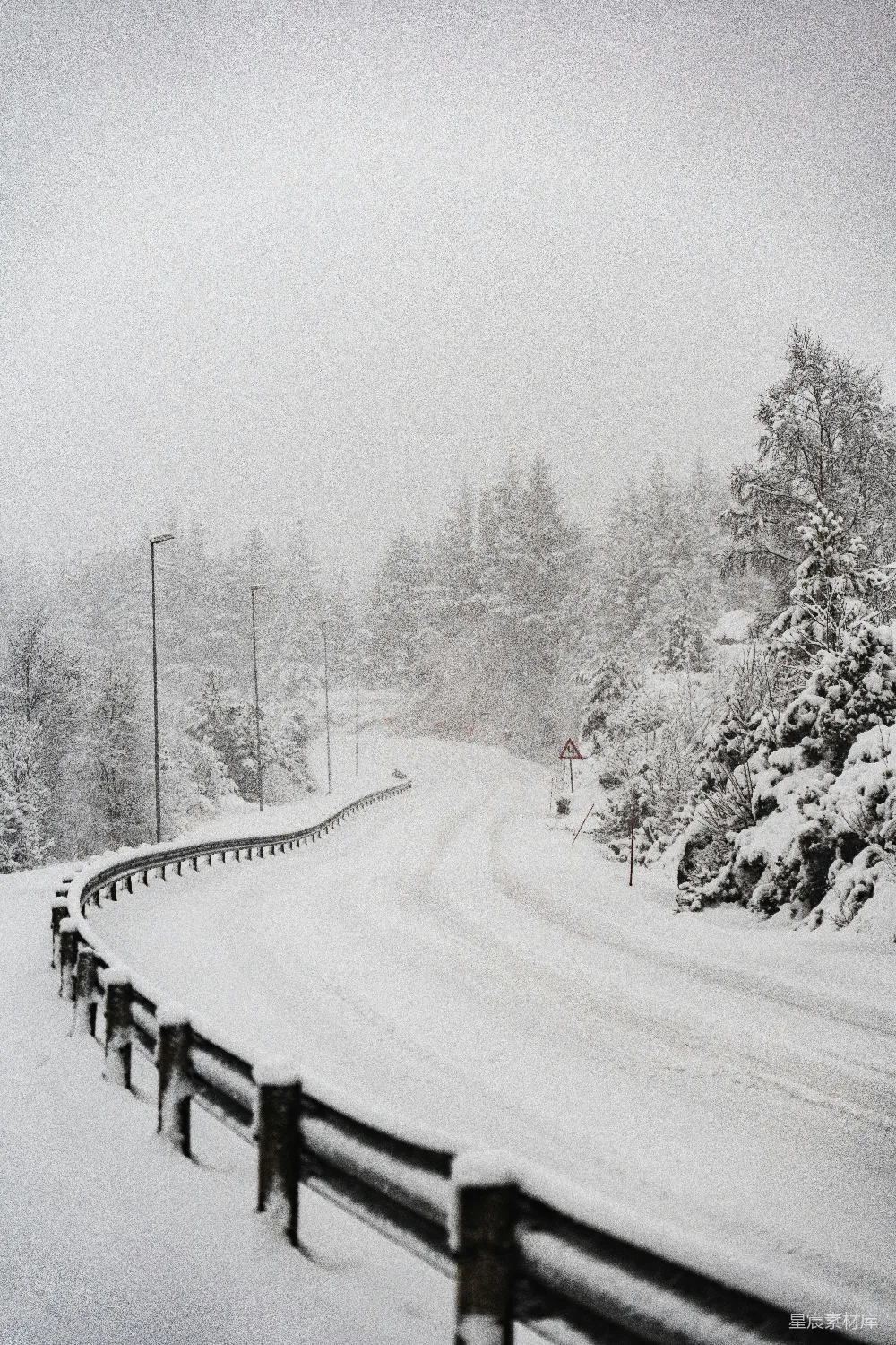 高清摄影 白天树木和道路被雪覆盖