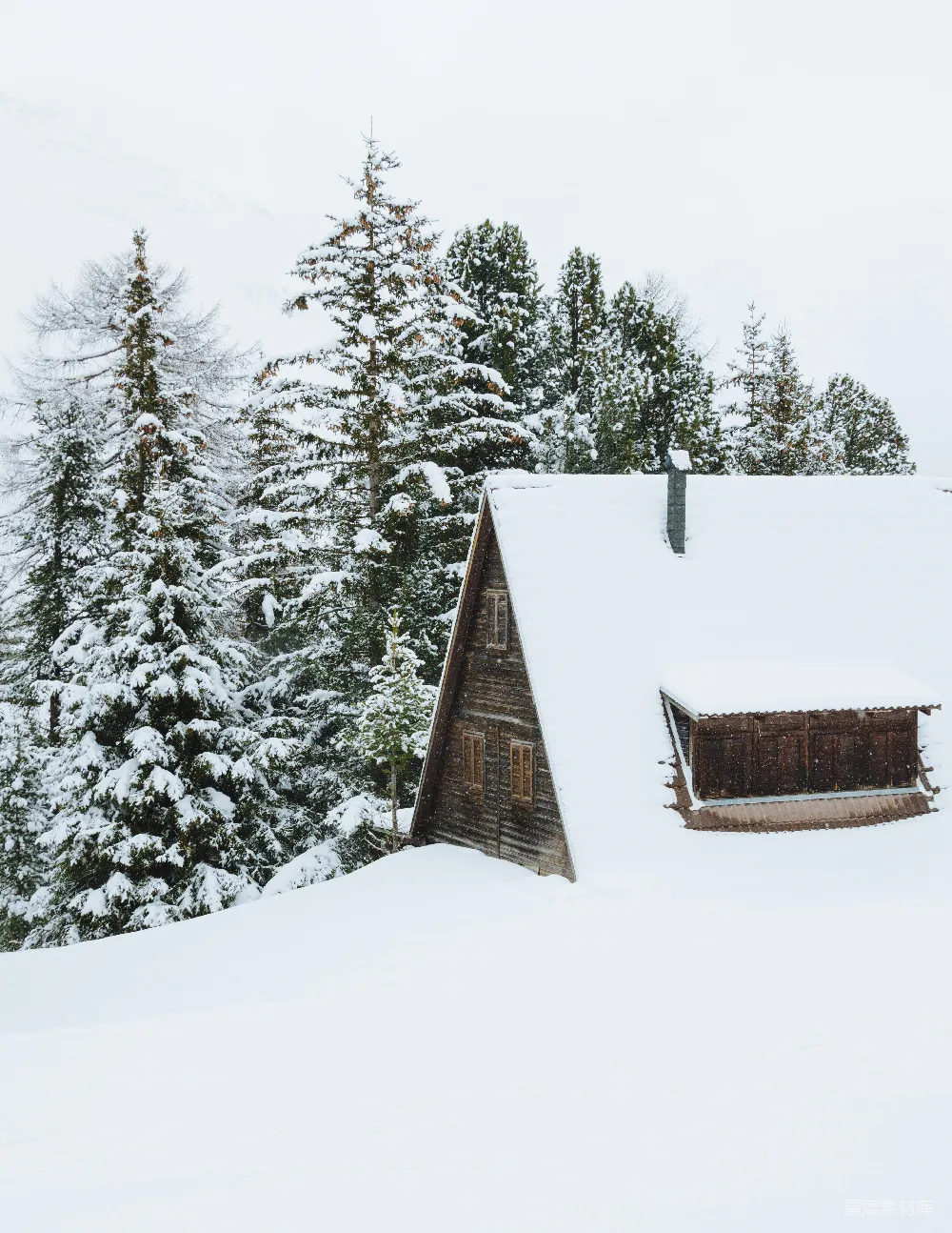 高清摄影 褐色的小屋白天被雪覆盖，旁边是树木。