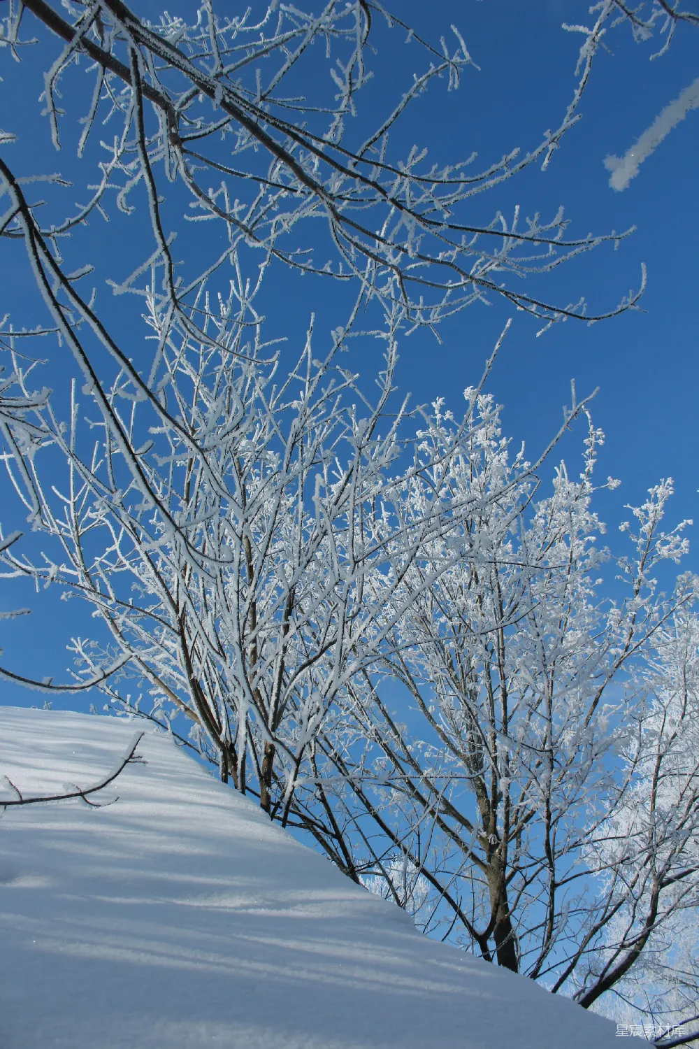 高清摄影 山顶覆盖着白雪，树木环绕，背景是蔚蓝的天空。