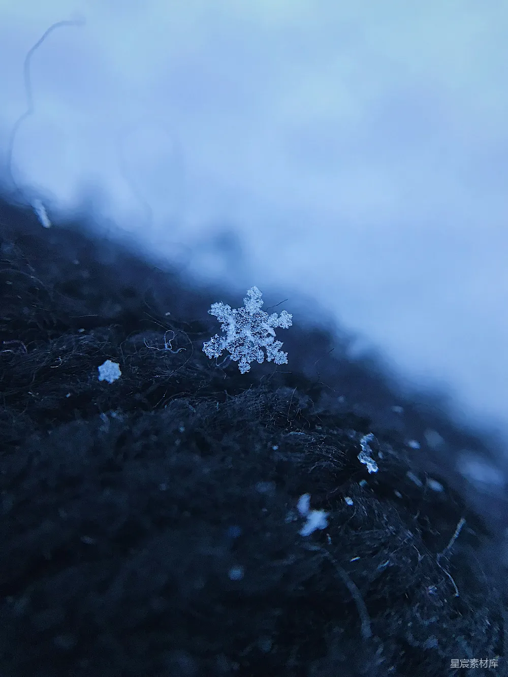 高清摄影 黑布上的白雪雪花