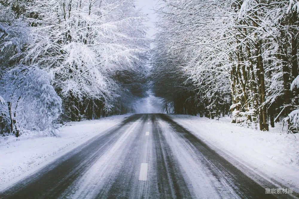 高清摄影 白天灰水泥路旁覆盖着白雪的白树附近