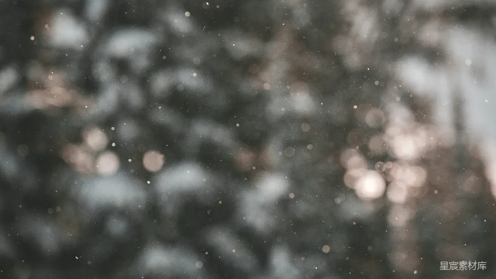 高清摄影 树上传落的模糊雪花
