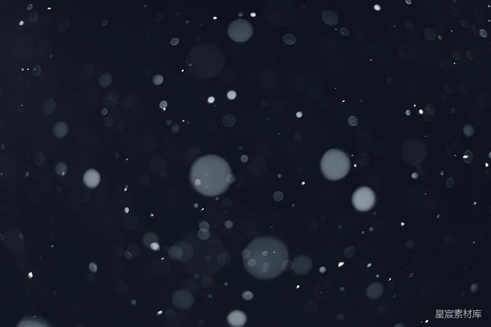 高清摄影 黑白照片中雪花飘落的场景