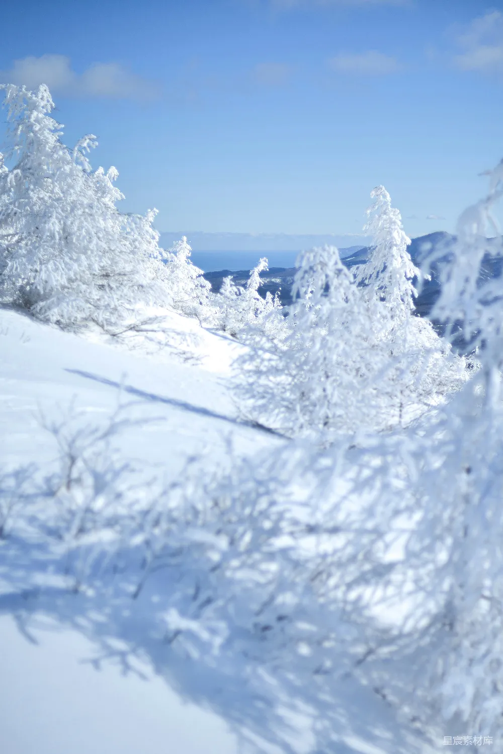 高清摄影 雪地里一个人滑雪的景象
