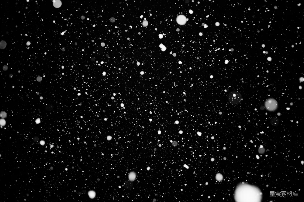 高清摄影 背景黑暗中飘落的雪花