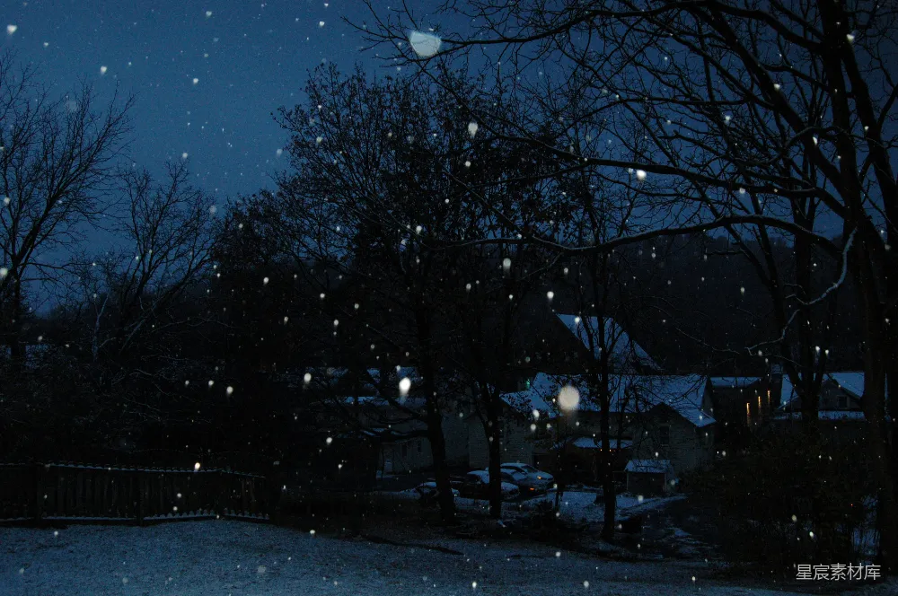 高清摄影 一个有路灯和树木的夜晚下着雪