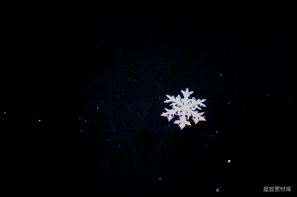 高清摄影 雪花白