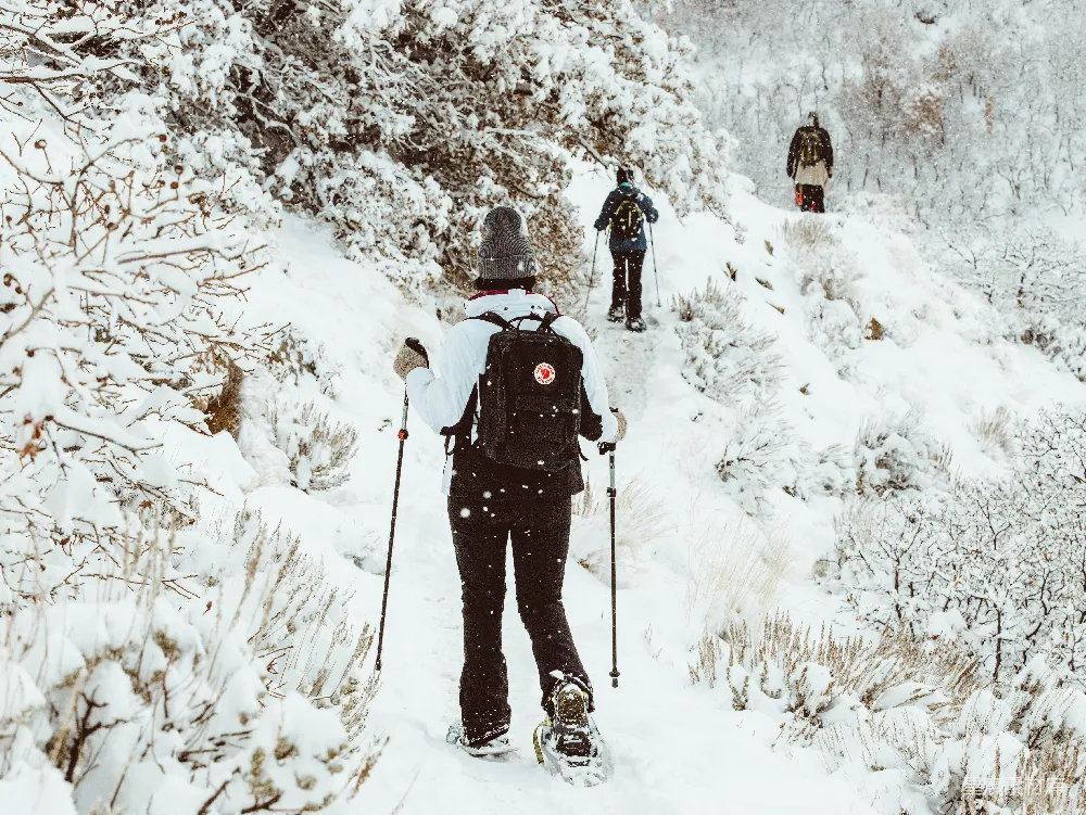 高清摄影 黑色夹克和黑色裤子的人站在覆盖着积雪的地面上，在白天。
