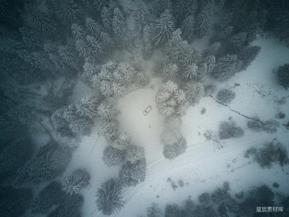 高清摄影 树丛间被雪覆盖的车辆的俯视图