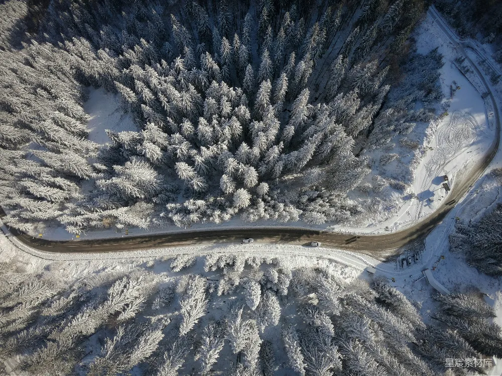 高清摄影 雪覆盖树木环绕的道路的俯视图