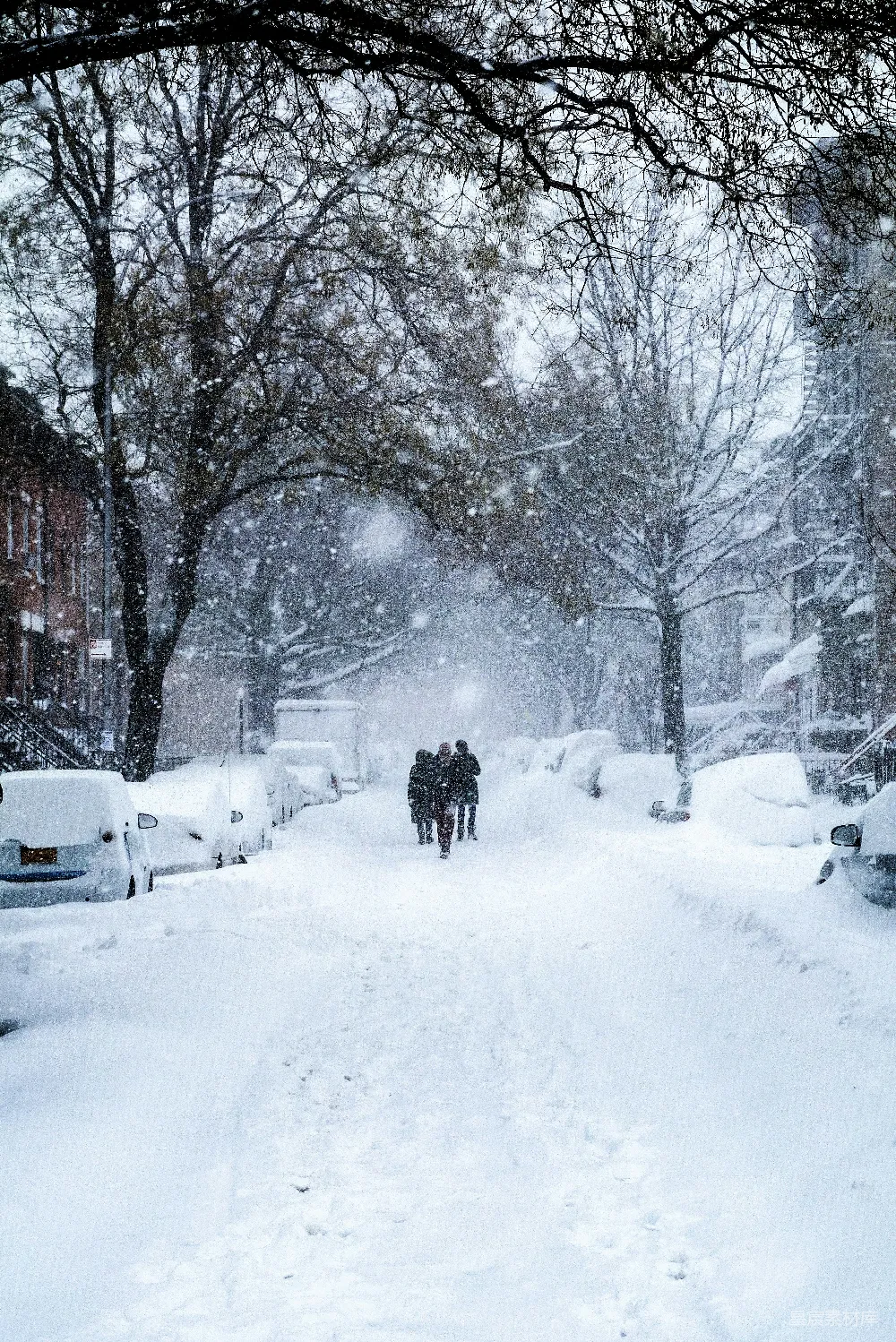 高清摄影 白天积雪覆盖的道路旁有树木
