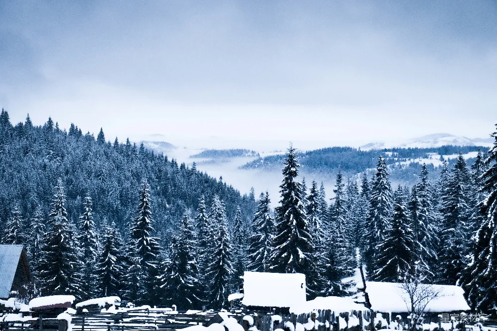 高清摄影 背景中有林子的雪山覆上了一层白雪。