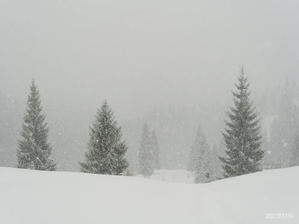 高清摄影 一个滑雪者在覆雪的山坡上滑下。